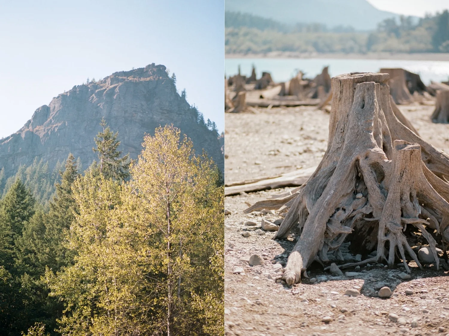 Rattlesnake Lake Details by Alexandra Knight Photography