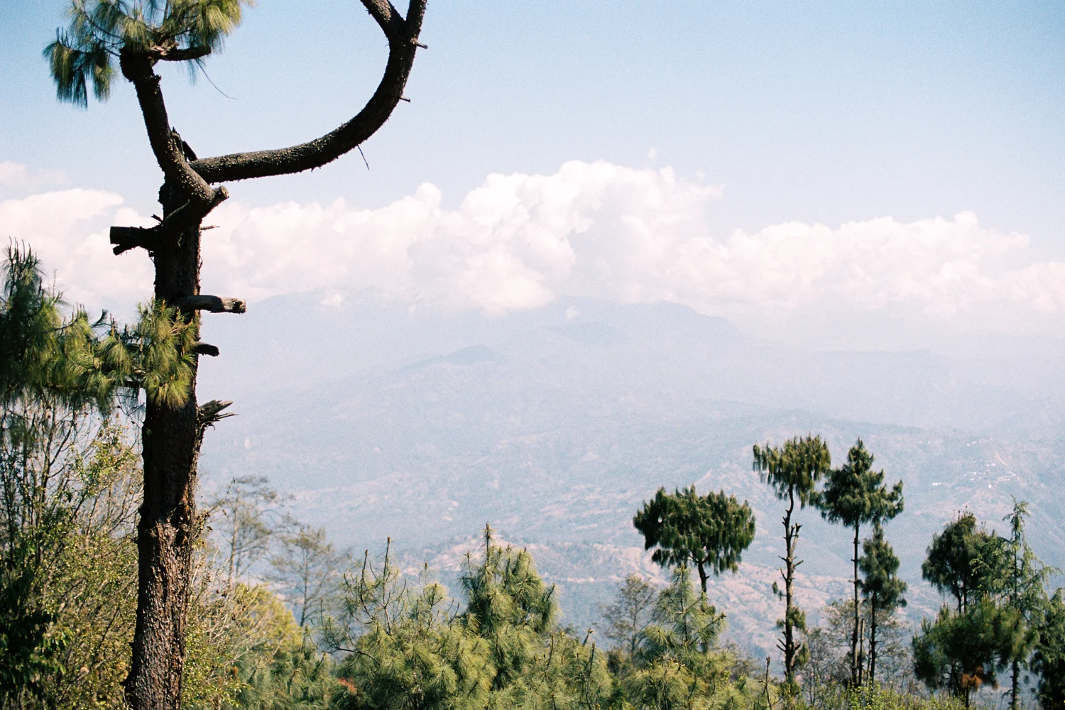 webakp-nepal-1485.jpg