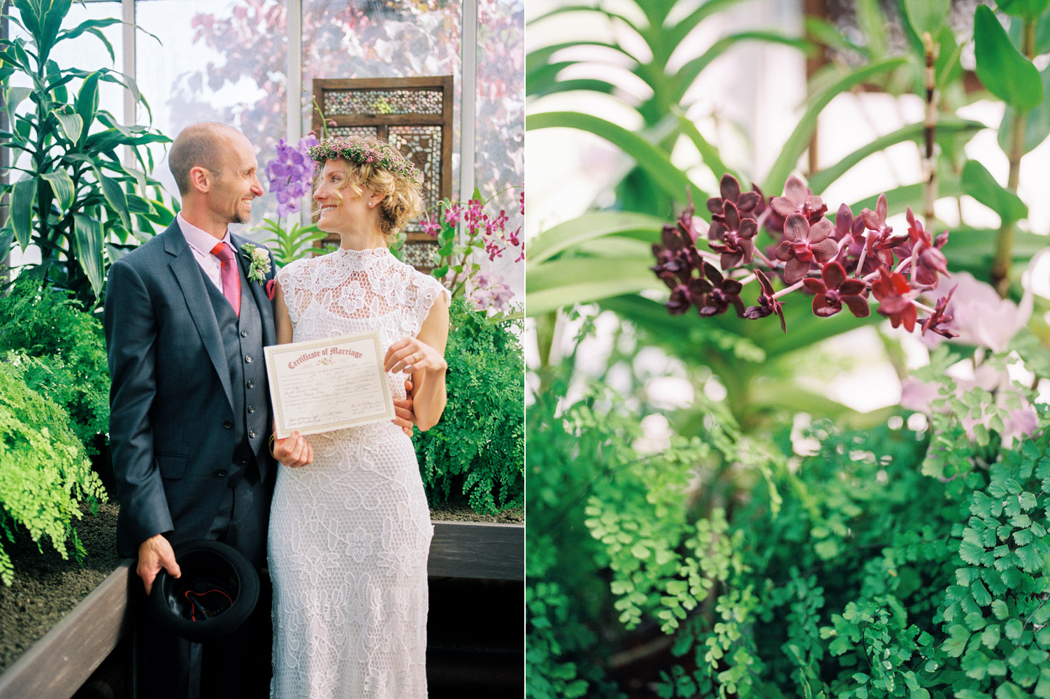 seattle volunteer park conservatory elopement portra 800 kodak.jpg