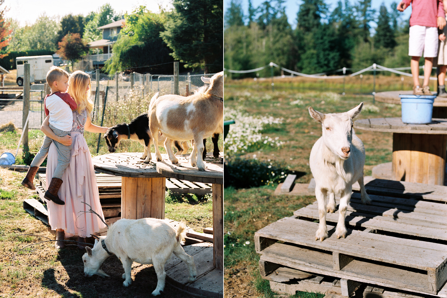 snohomish family farm photography.jpg