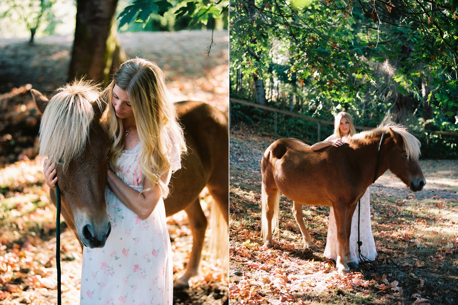 snohomish equine horse portrait family photography.jpg