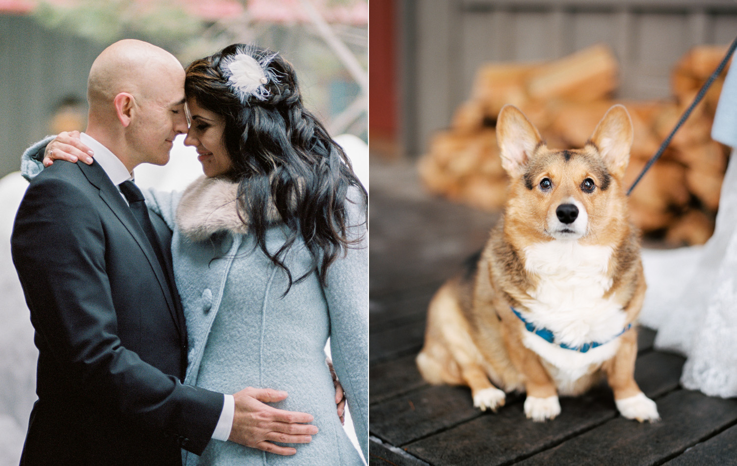 Bride and Groom and Corgi Wedding Pets.jpg