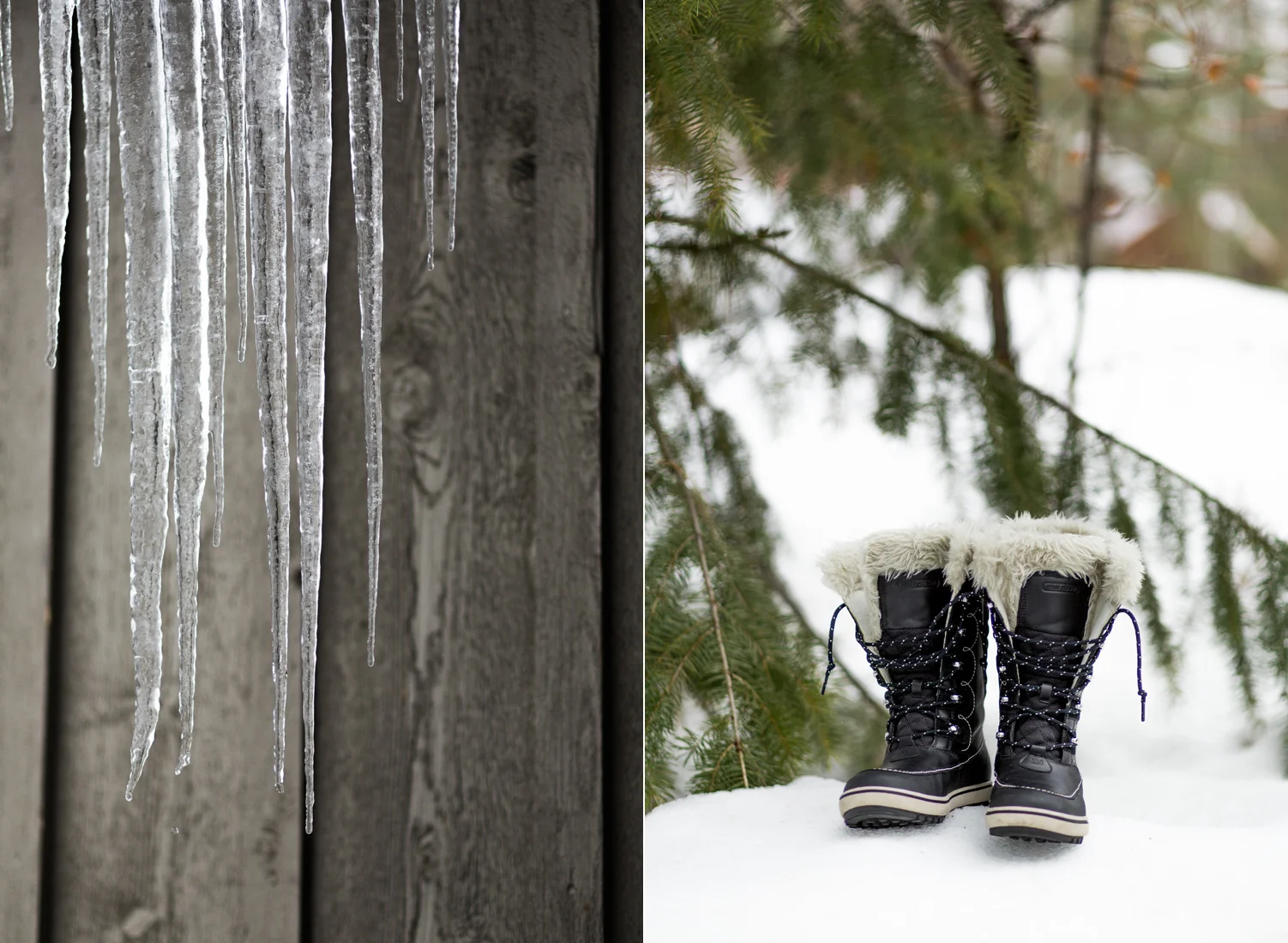 Leavenworth Washington Winter Wedding Cascade Mountains.jpg