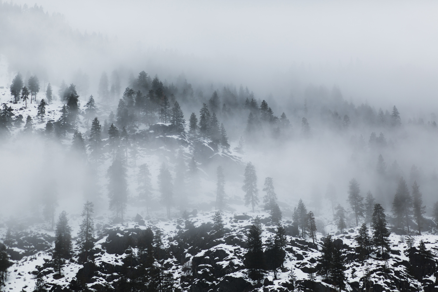 Cascade Mountains Leavenworth Winter Fog.jpg