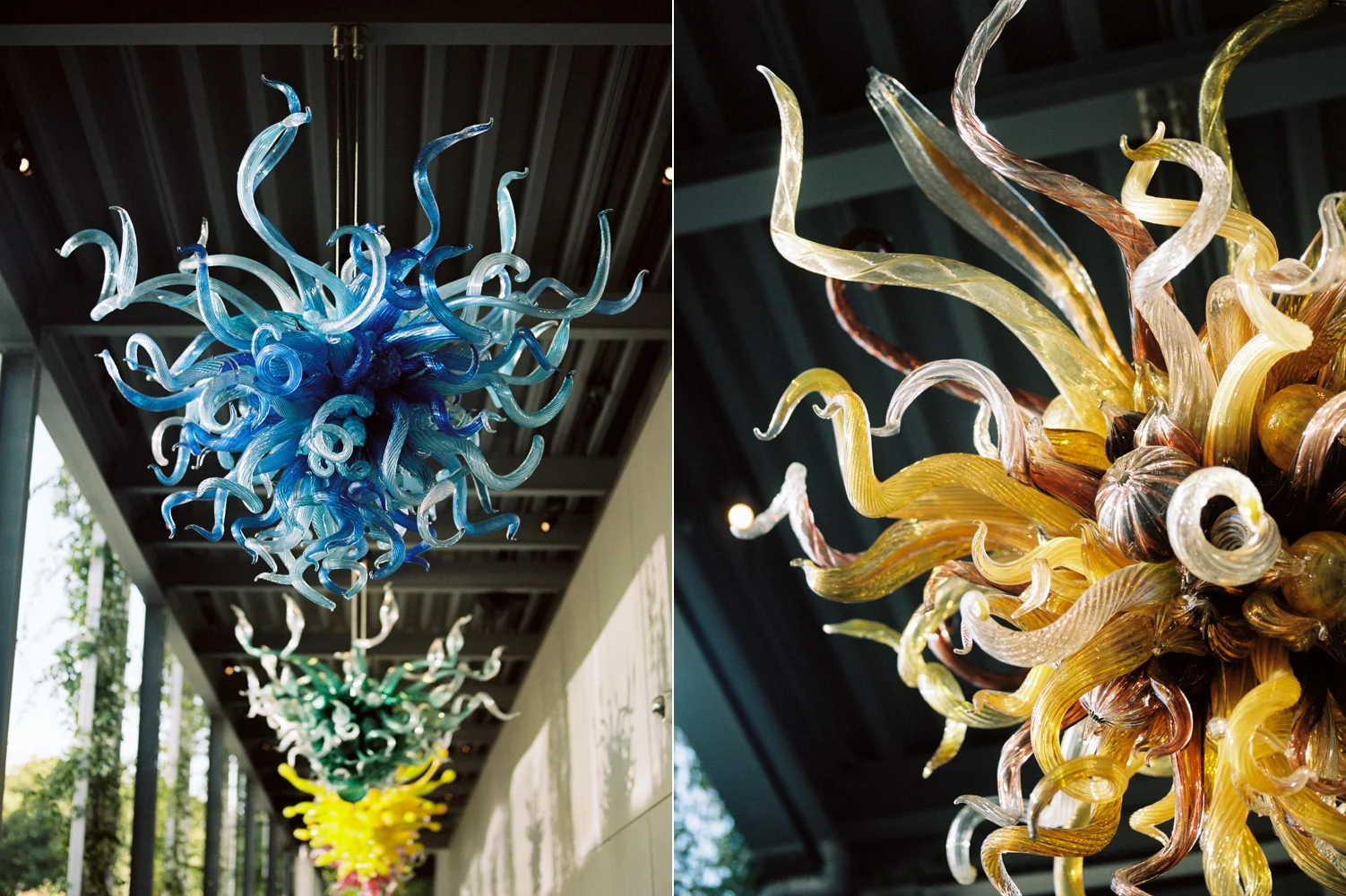 chihuly garden of glass 2.jpg