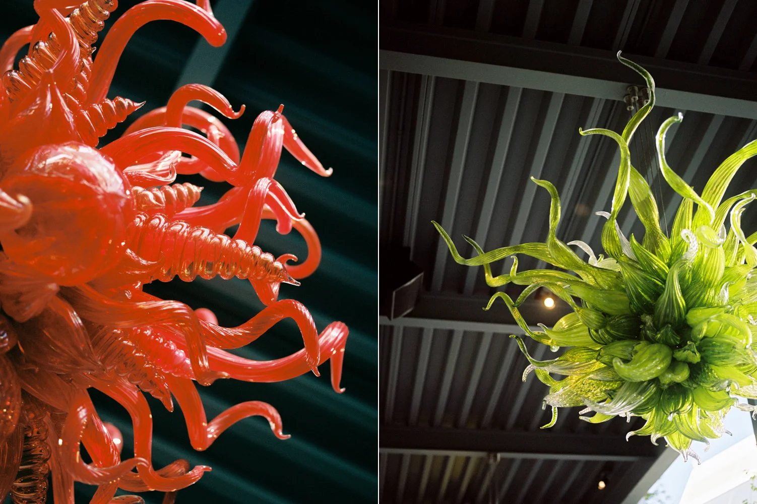chihuly garden of glass 3.jpg