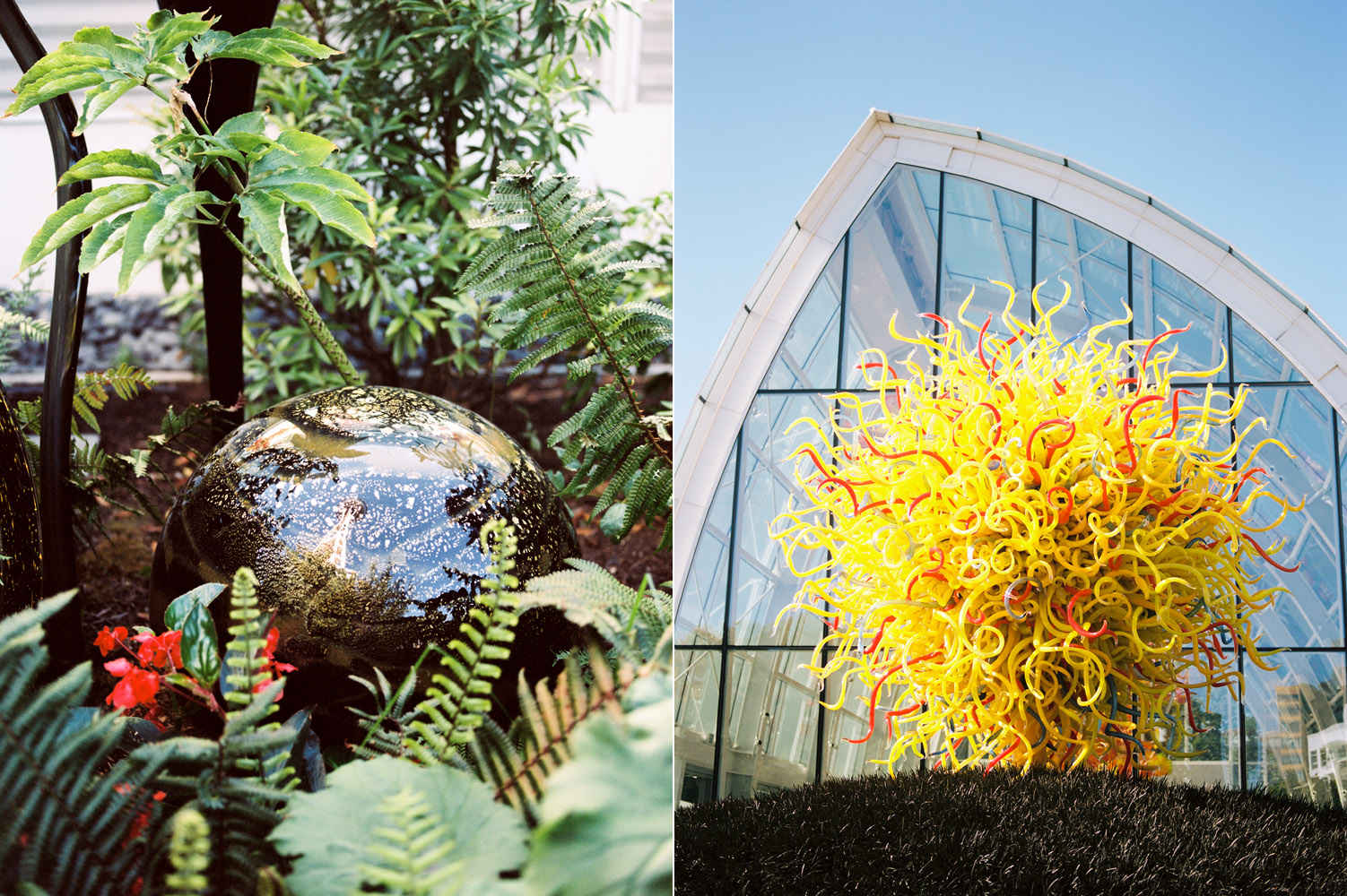 Chihuly Garden and Glass Seattle Wedding Venue Photography