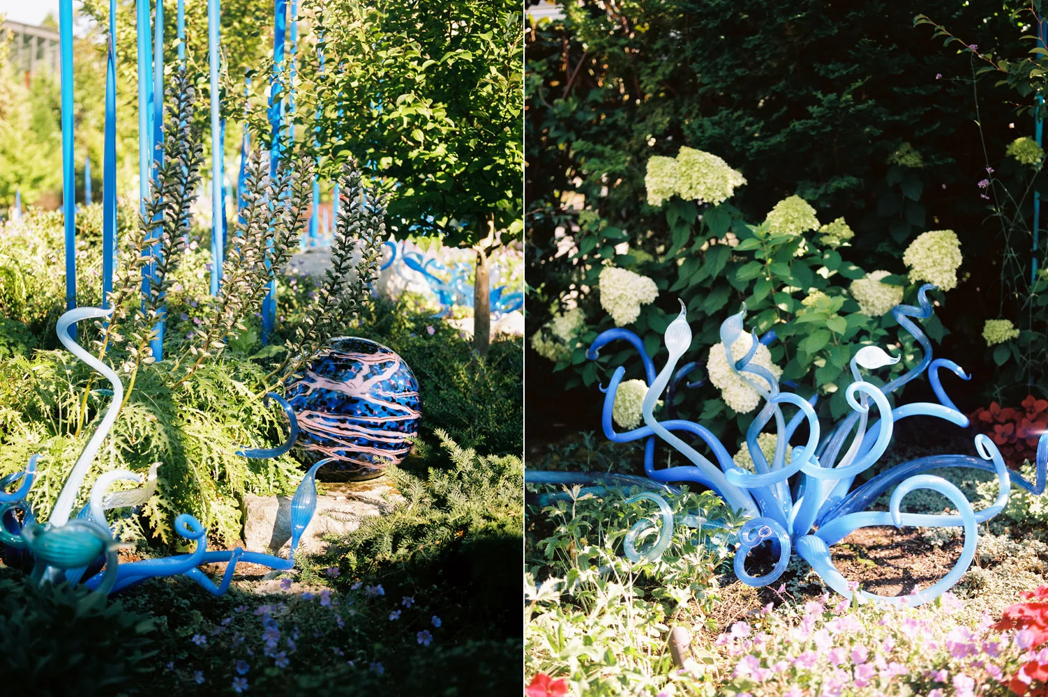 chihuly garden of glass 5.jpg