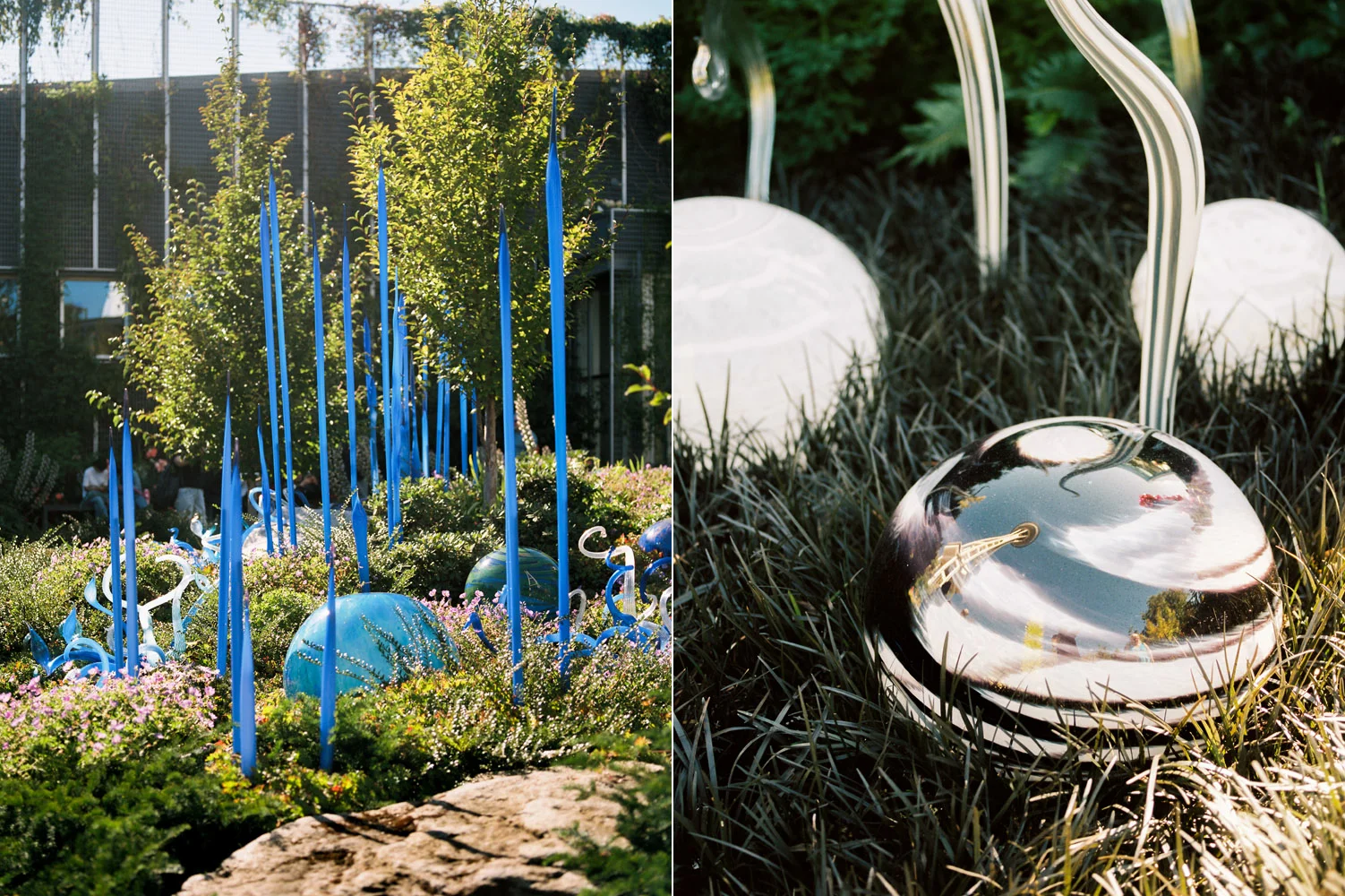 chihuly garden of glass 8.jpg