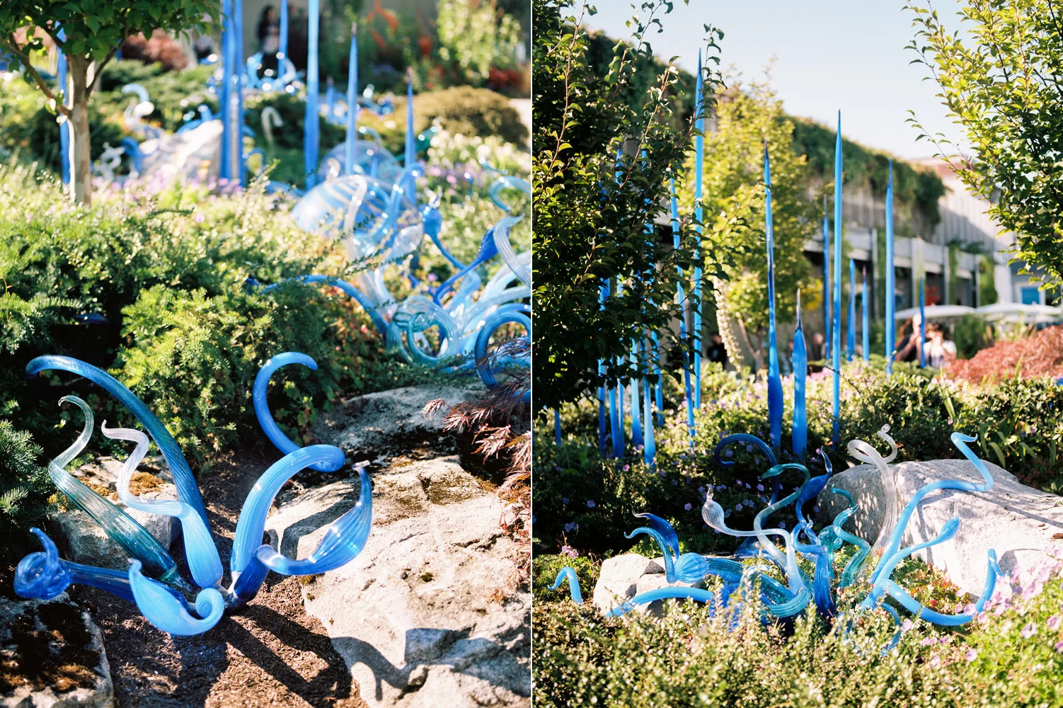 chihuly garden of glass 7.jpg