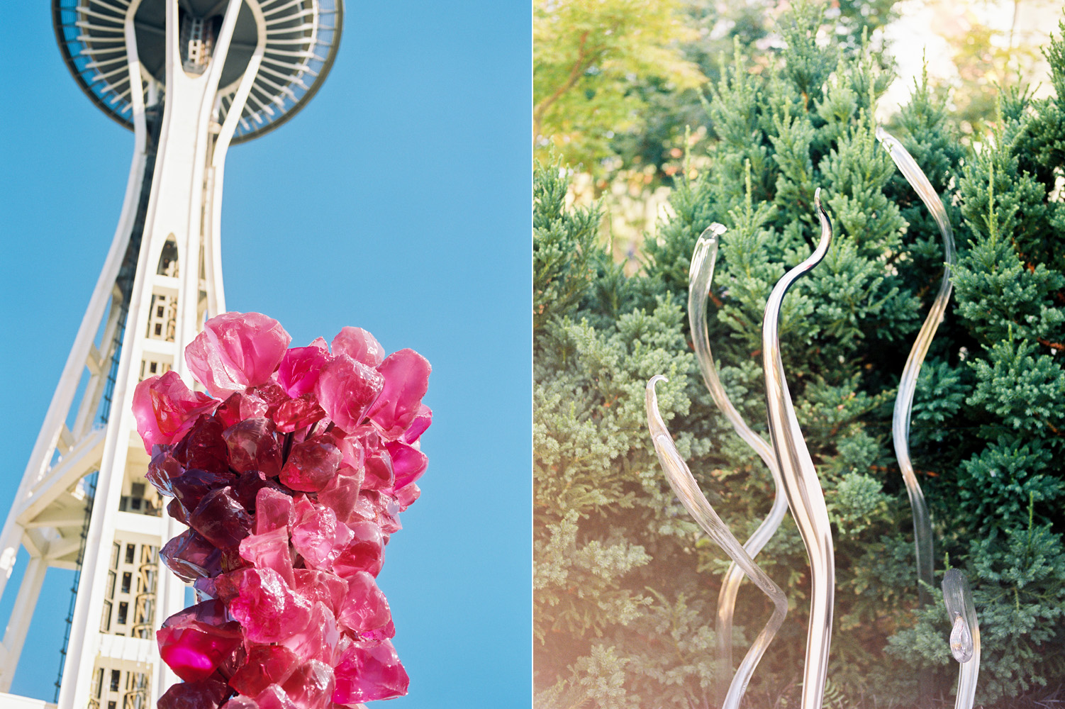 chihuly garden of glass space needle.jpg