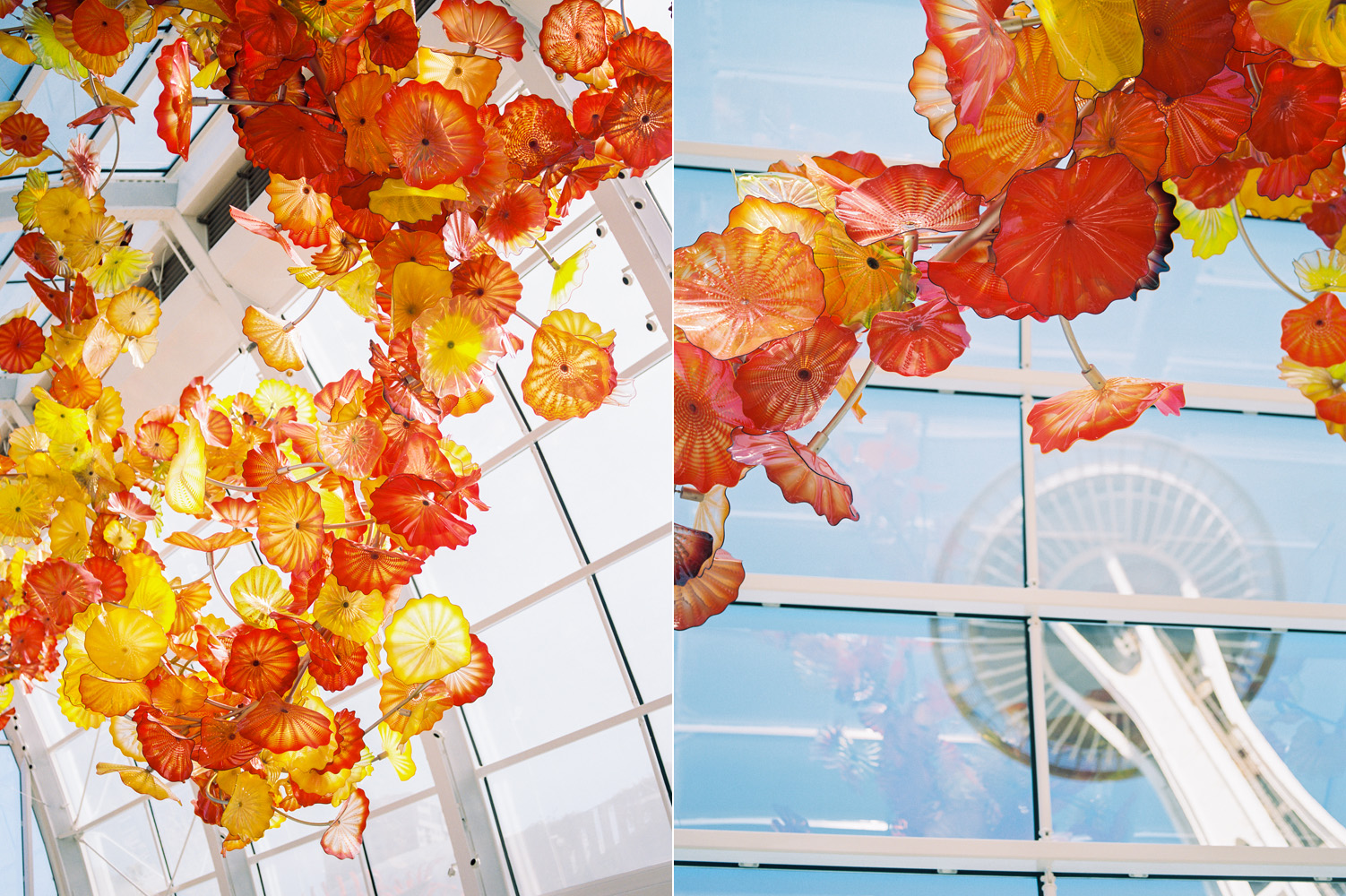 Chihuly Garden and Glass Seattle Wedding Venue Photography by the Space Needle