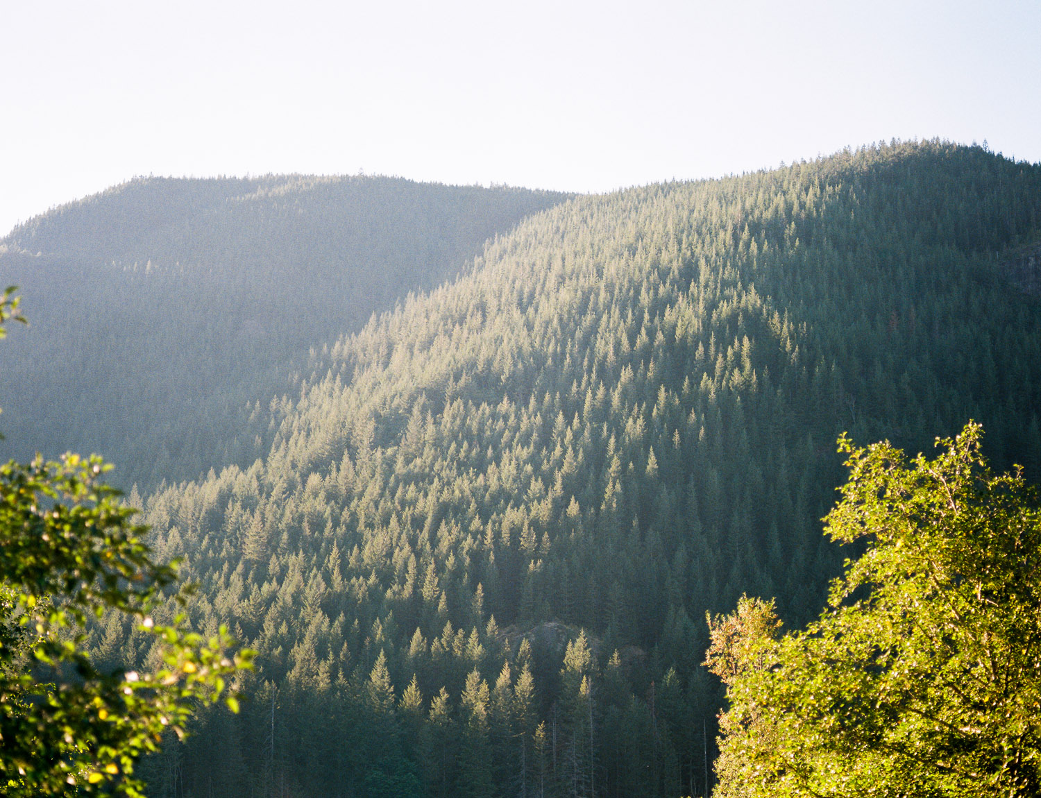 Cedar River Education Center Rattlesnake Lake Wedding.jpg