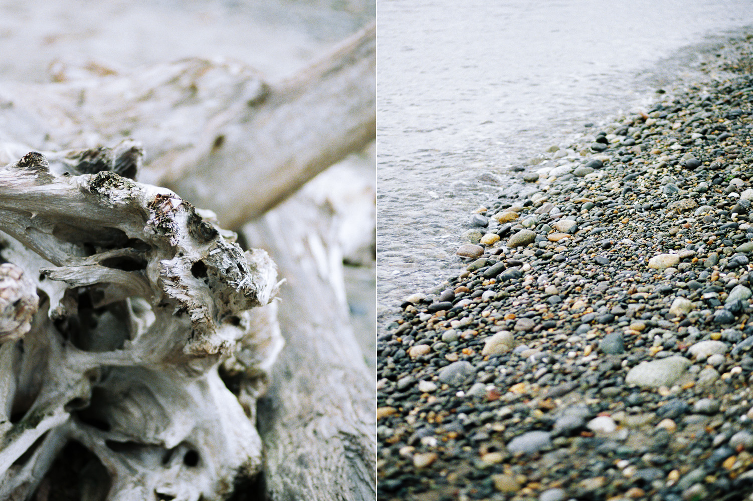 Deception Pass Pacific Northwest Coastal Film Photography.jpg