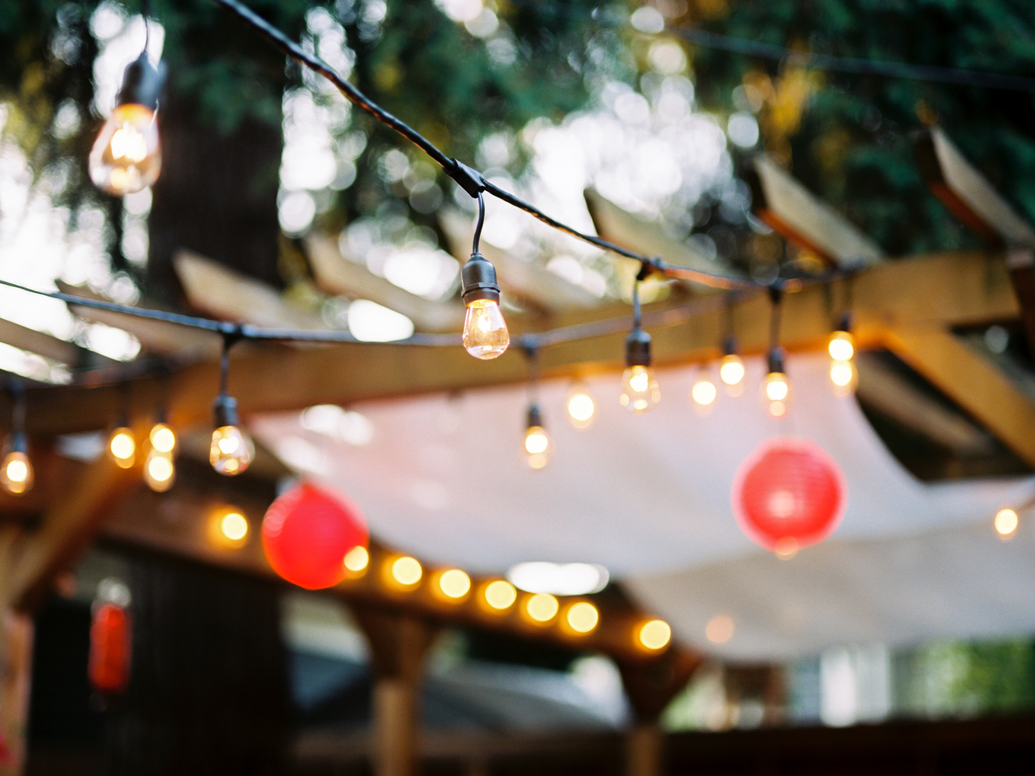 Film Photography from a Seattle Backyard Wedding.jpg