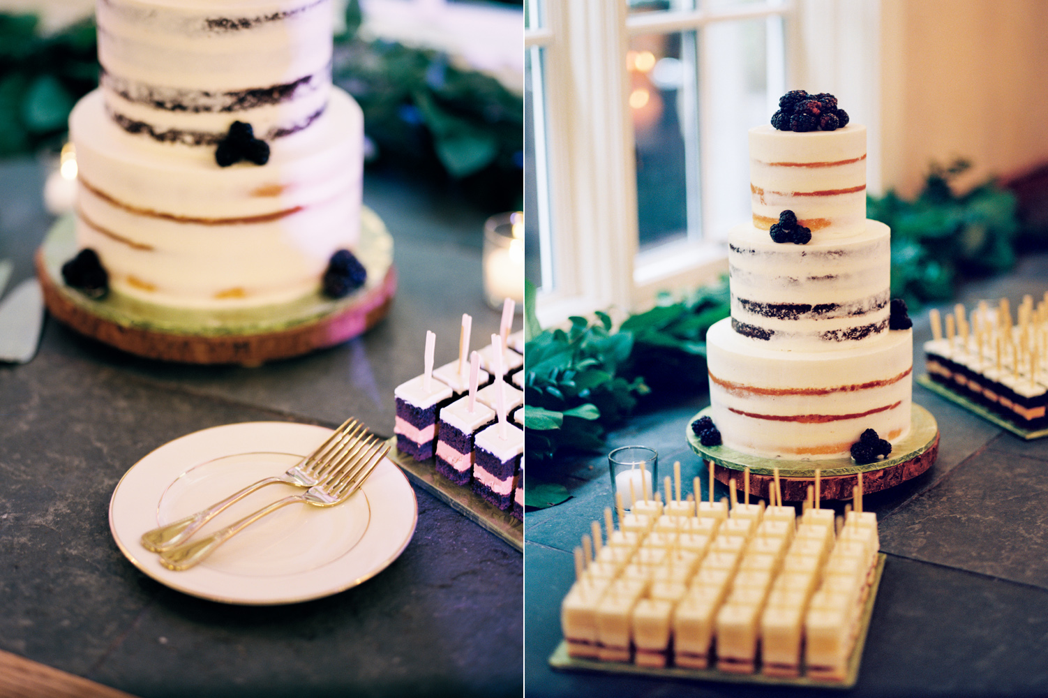 woodinville wedding photography semi naked wedding cake.jpg