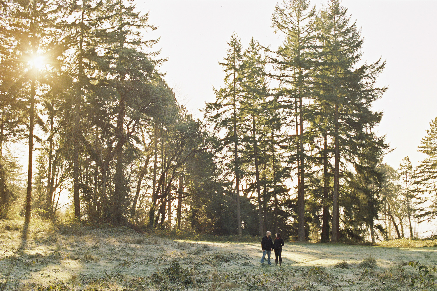 seward park seattle winter engagement photography inspiration.jpg