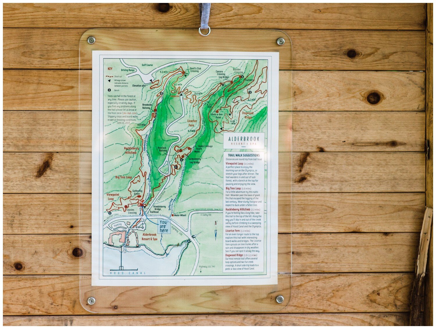 Alderbrook Resort hiking map