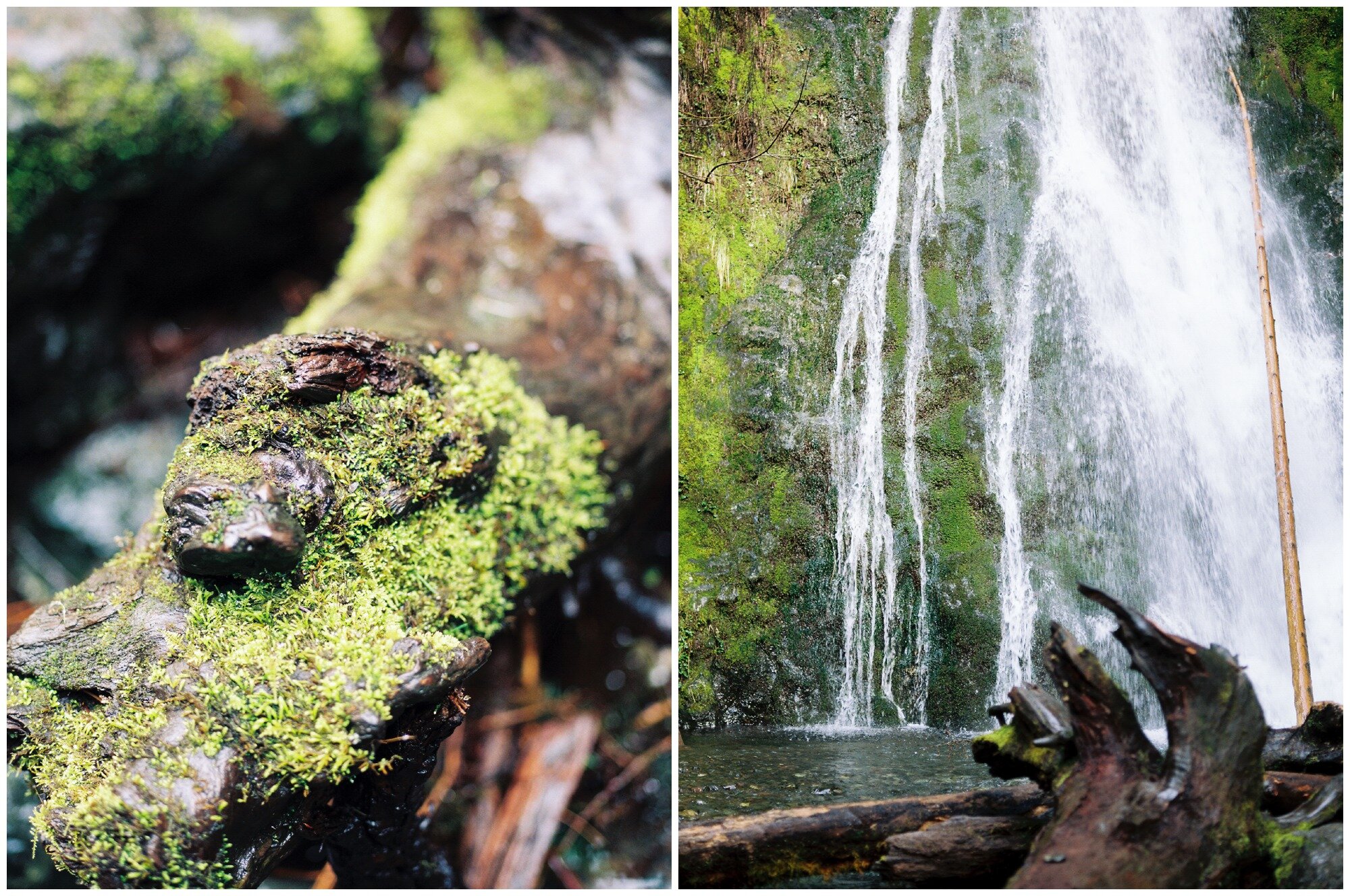 Olympic National Park waterfalls