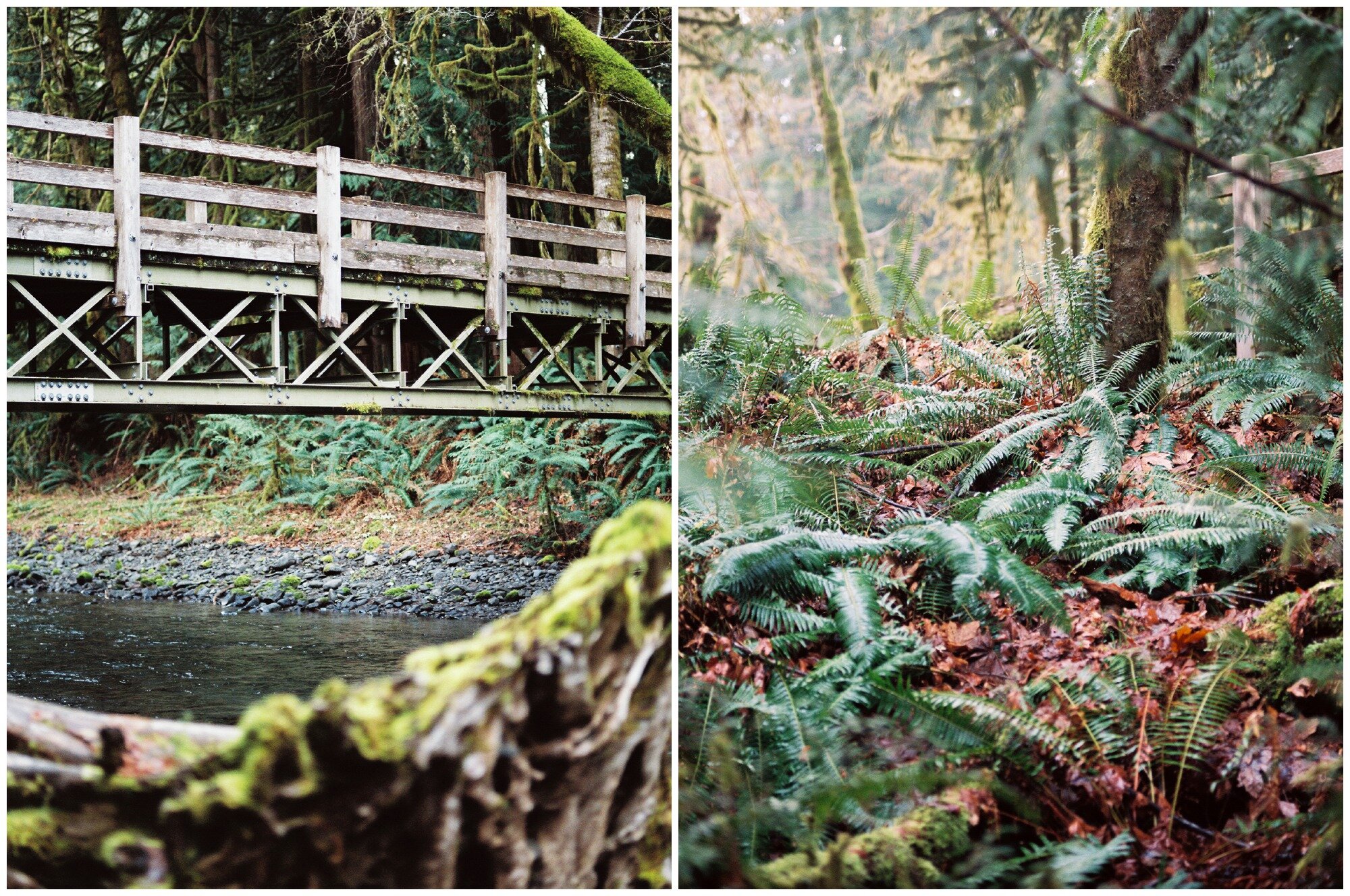 Lake Crescent and Olympic National Park