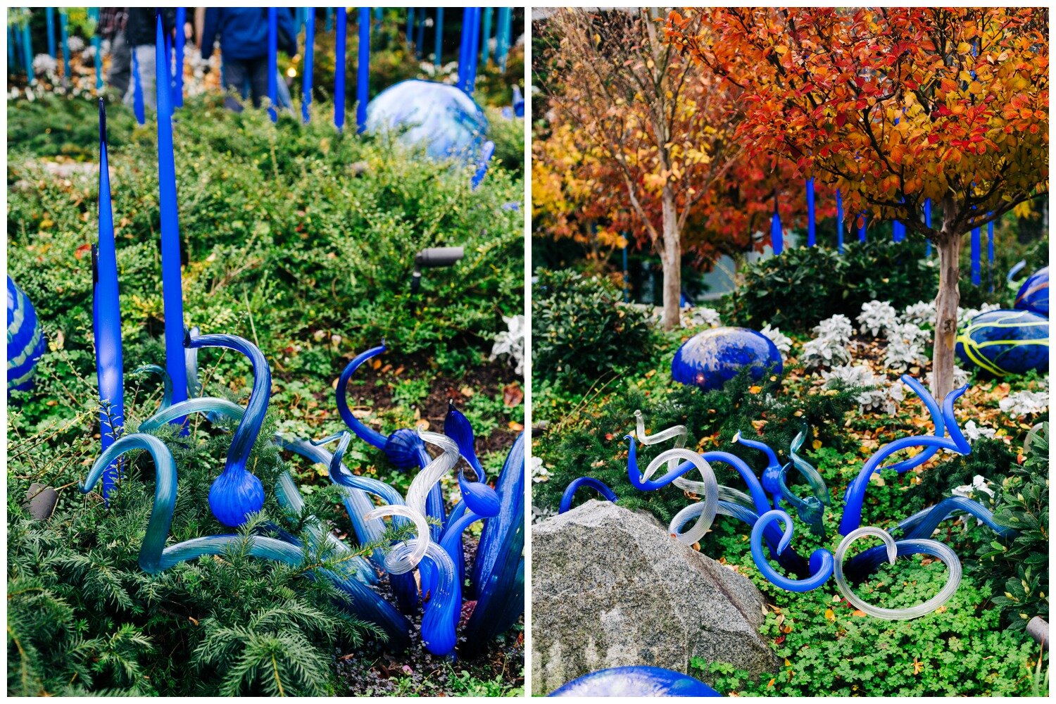 Chihuly Garden and Glass Outdoor Garden Venue