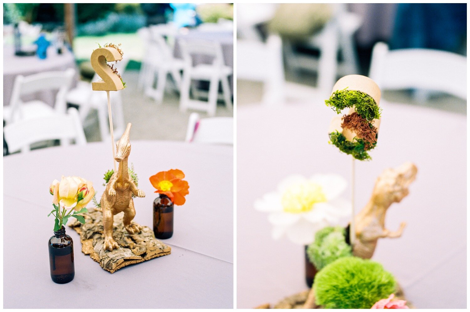 Dinosaur Themed Wedding Decor at The Field's at Willie Green's