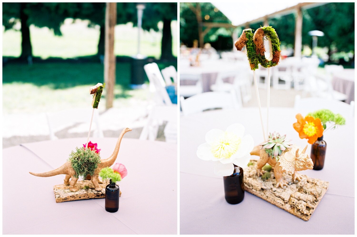 Dinosaur Themed Wedding Decor at The Field's at Willie Green's