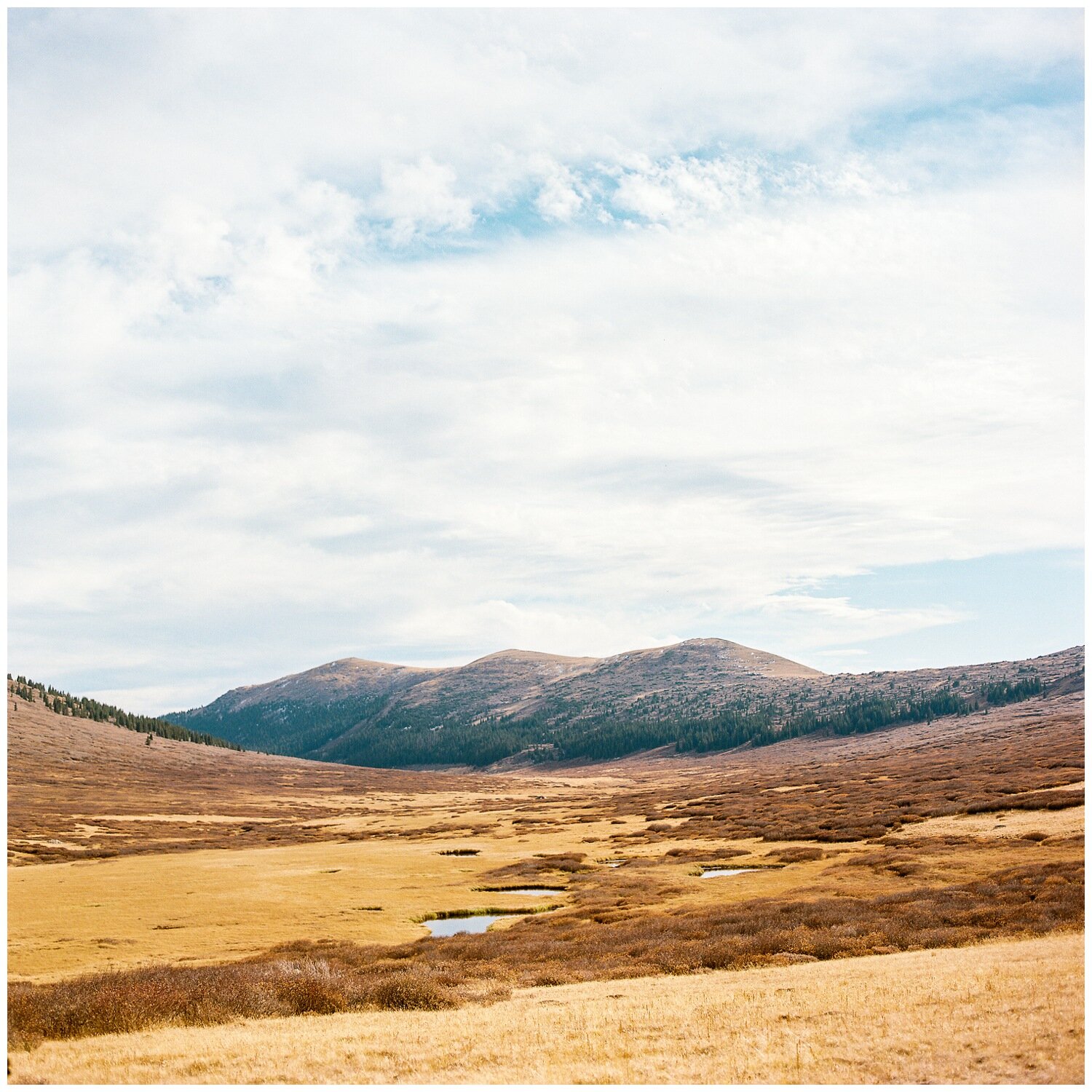 Guanella Pass Mt Evans Wilderness Colorado.jpg