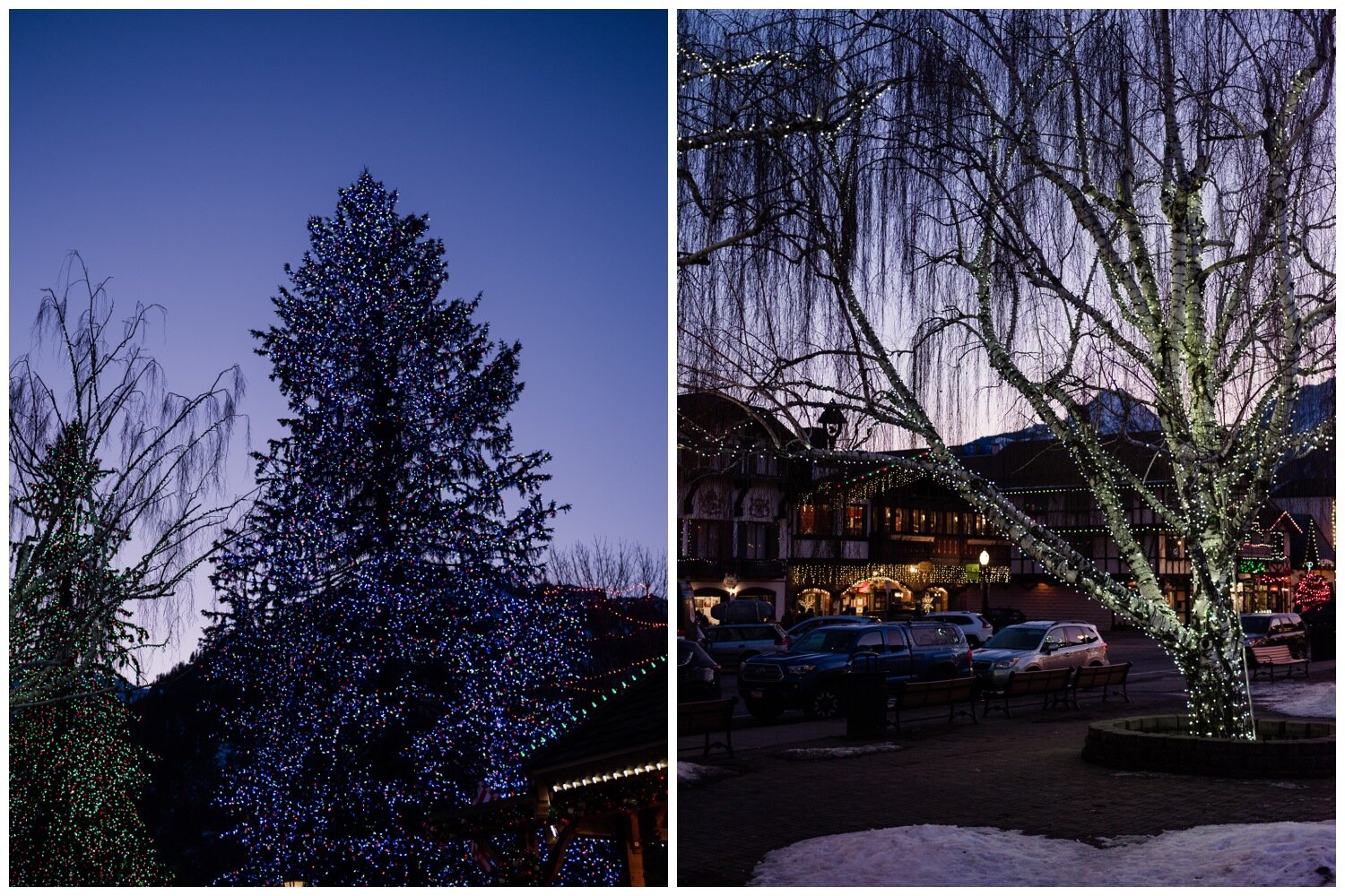 leavenworth icicle creek resort wedding photography 36.jpg