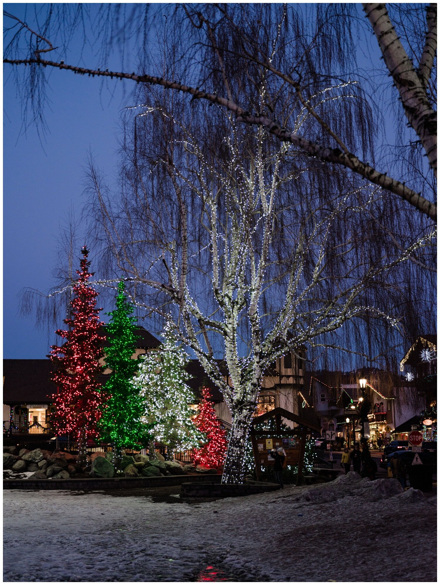 leavenworth icicle creek resort wedding photography 37.jpg