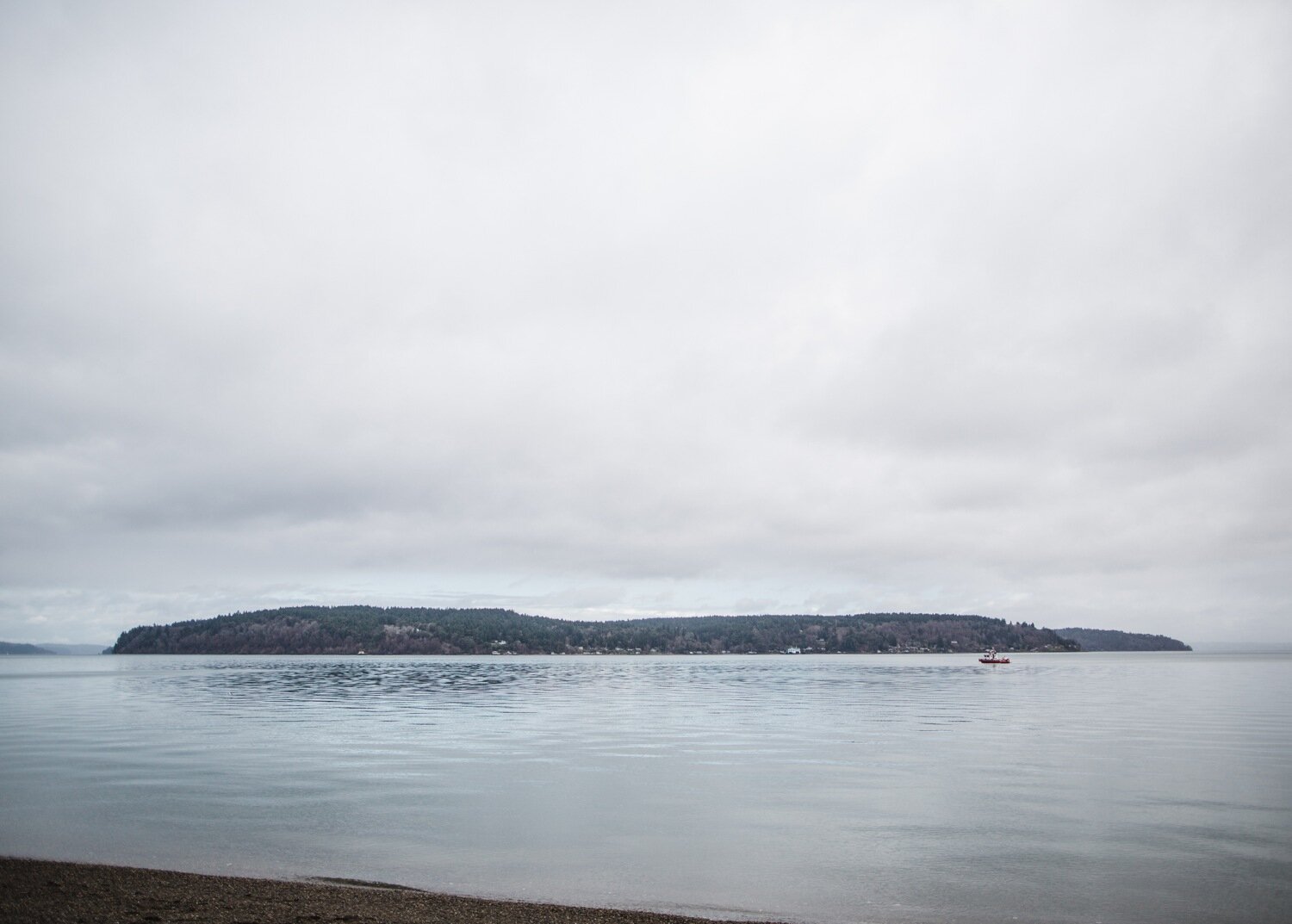 point_defiance_park_engagement_photos_16.jpg