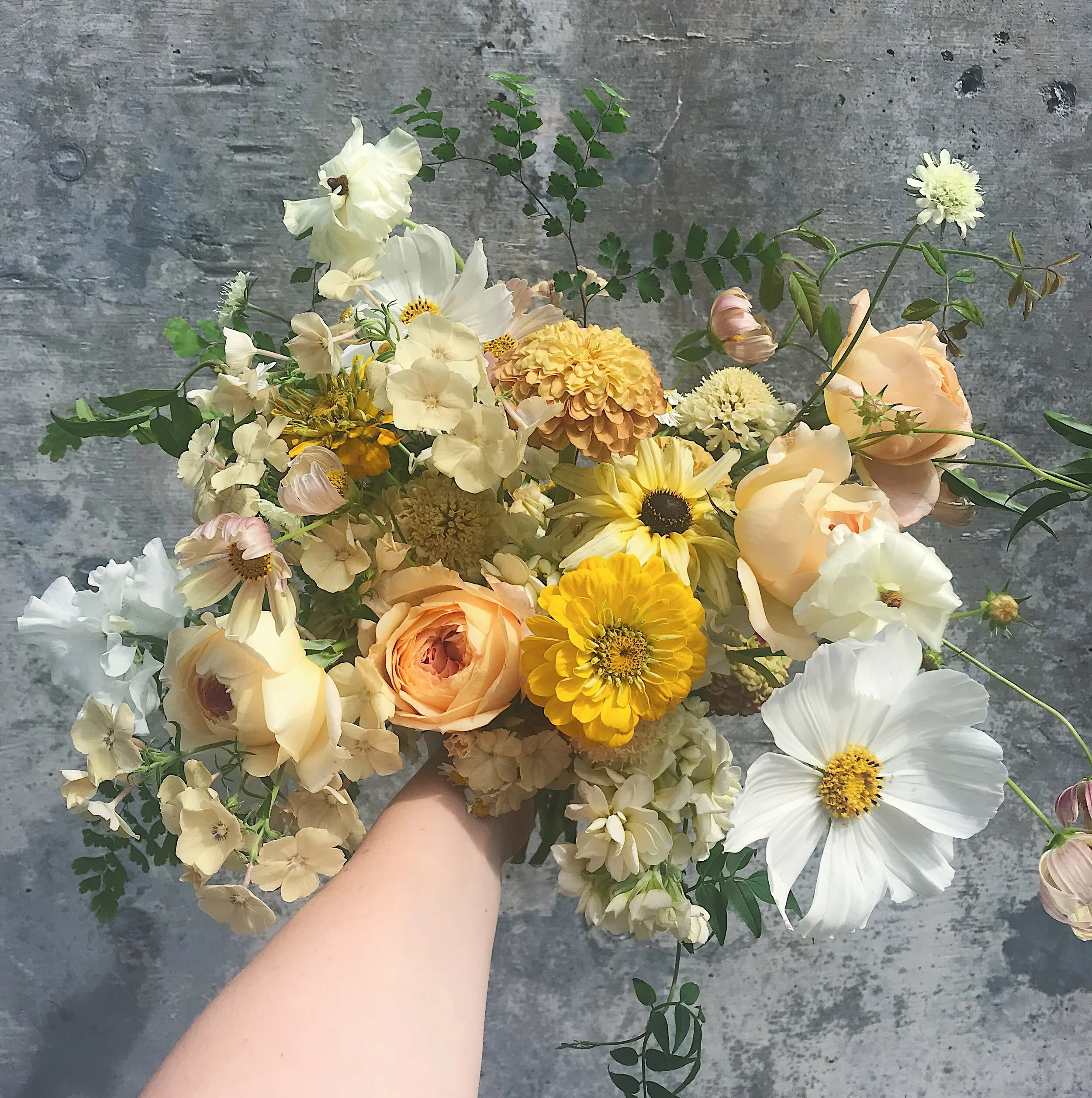Neutrals, yellows and peaches.JPG