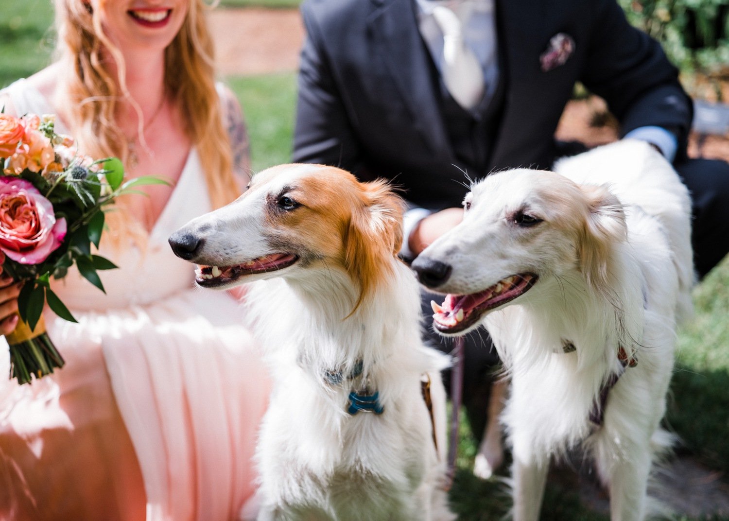 woodland_park_zoo_wedding_photography_18.jpg