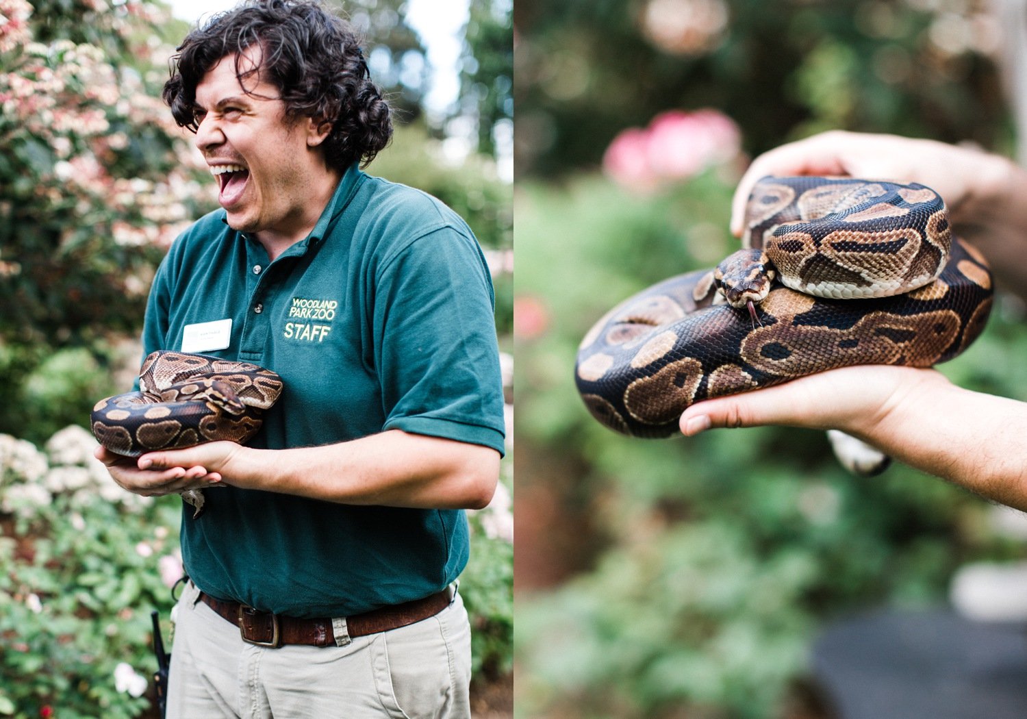 woodland_park_zoo_wedding_photography_53.jpg