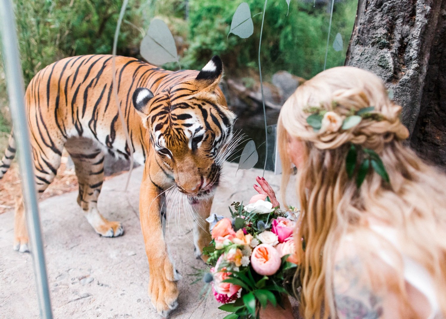 woodland_park_zoo_wedding_photography_tiger_encounter_78.jpg