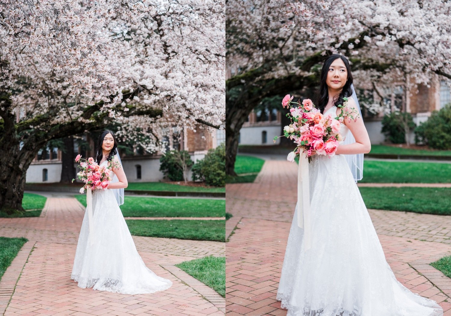 university_of_washington_cherry_blossom_festival_elopement_23.jpg