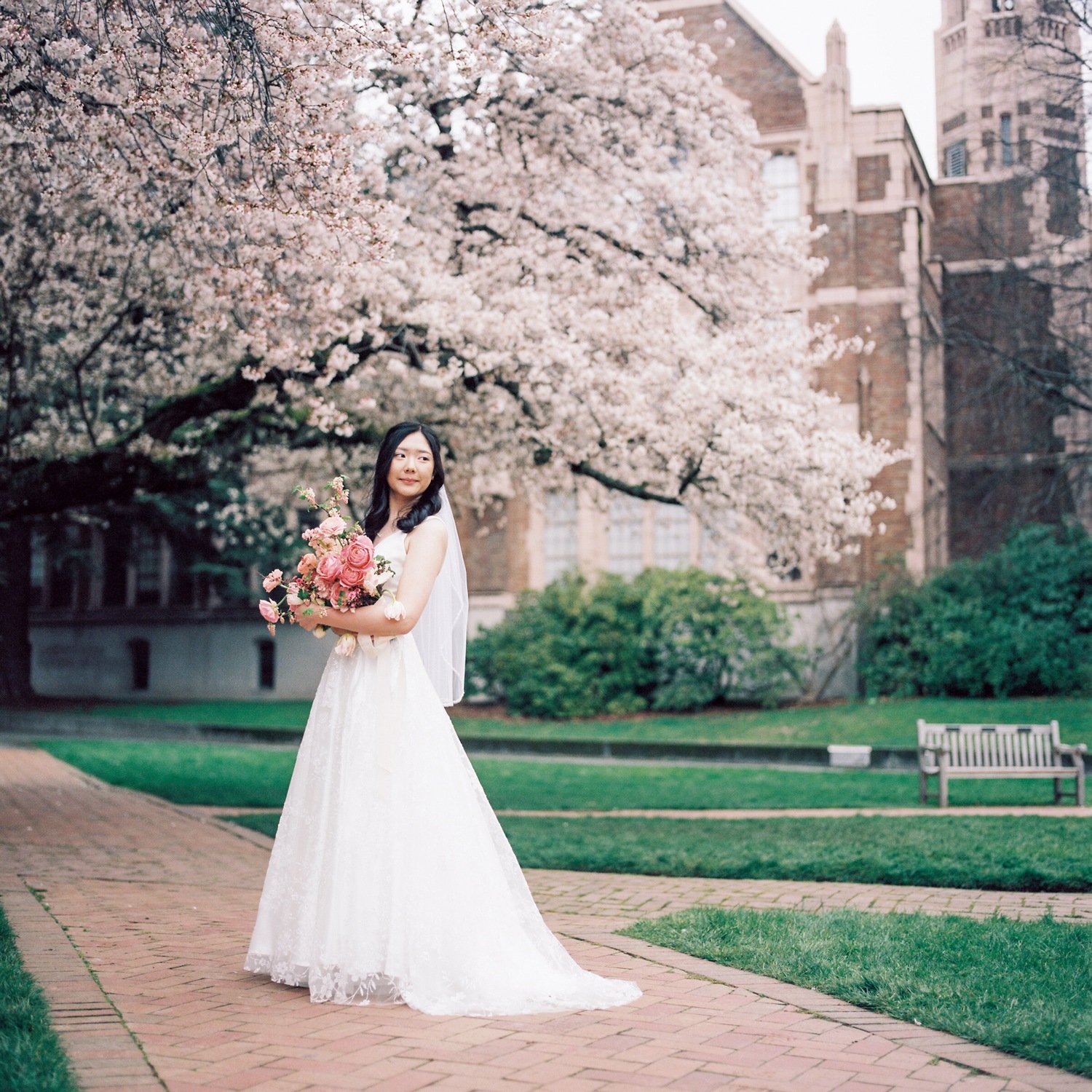 university_of_washington_cherry_blossom_festival_elopement_27.jpg