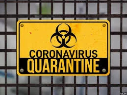 Quarantine Surprises (Good Ones)