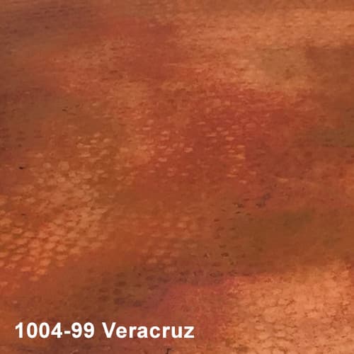 1004-99-Veracruz.jpg