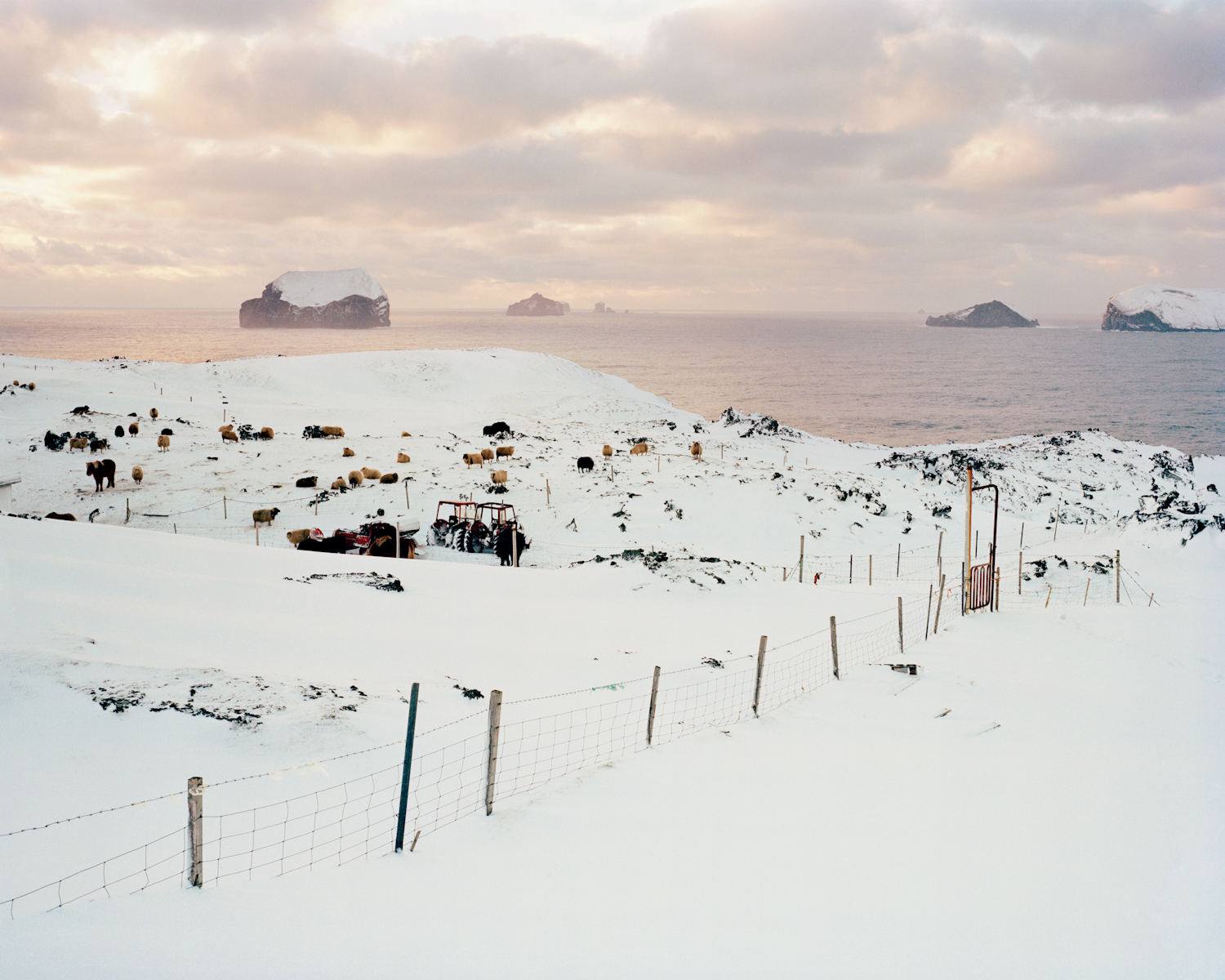  Hamarsvegur, Vestmannaeyjar, 2015.  Project Statement  