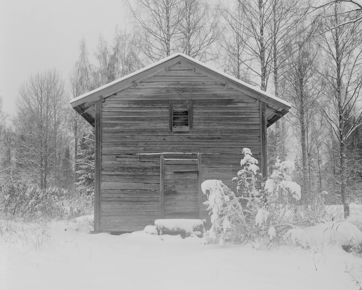 Kovero #1. Seitseminen, Finland, 2017.