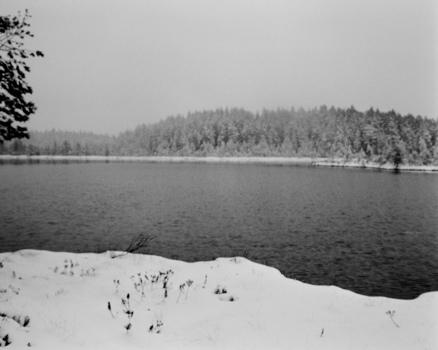 Saari-Soljanen. Seitseminen, Finland, 2017.