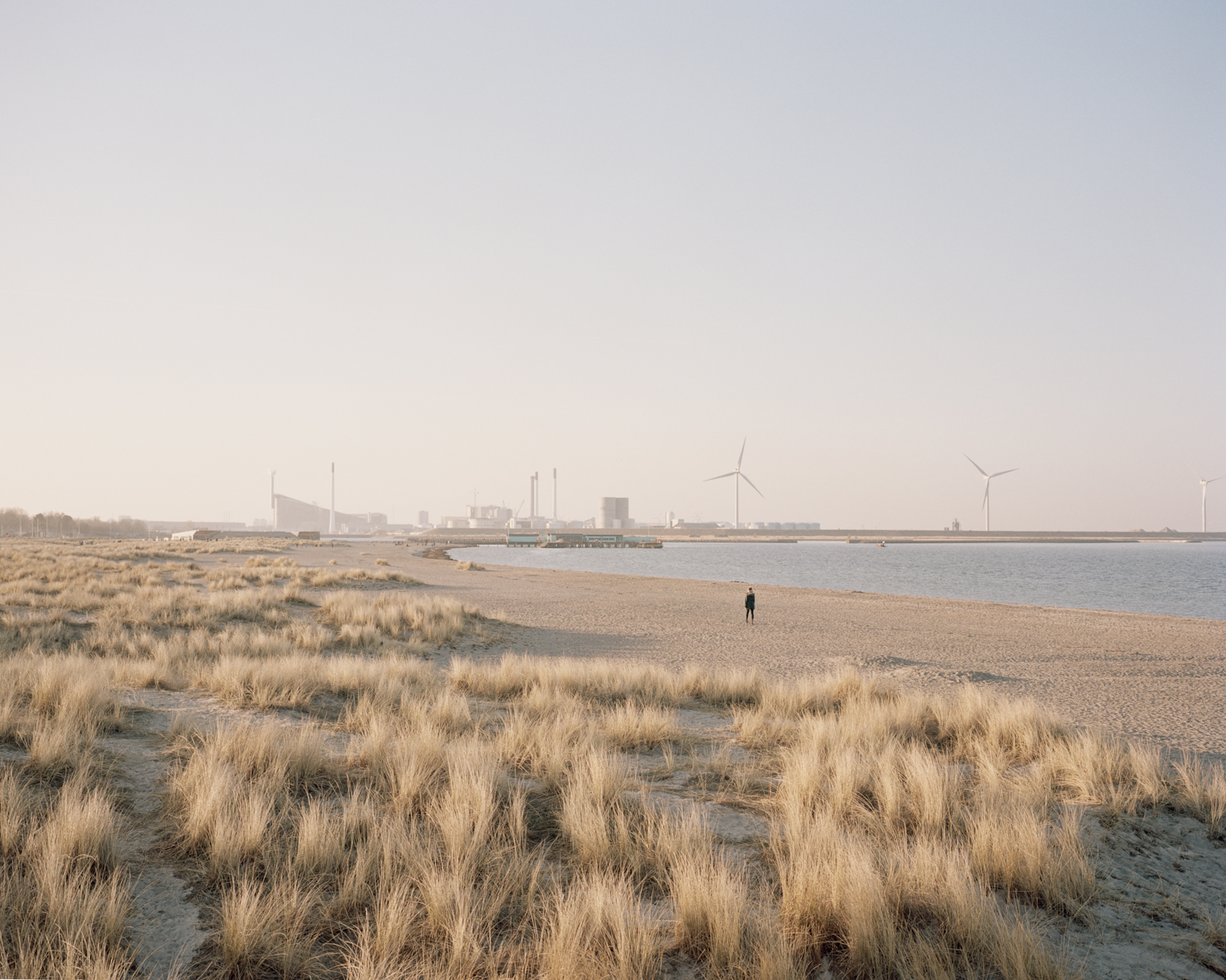  Amager Strandpark, Copenhagen, 2018.  Project Statement  