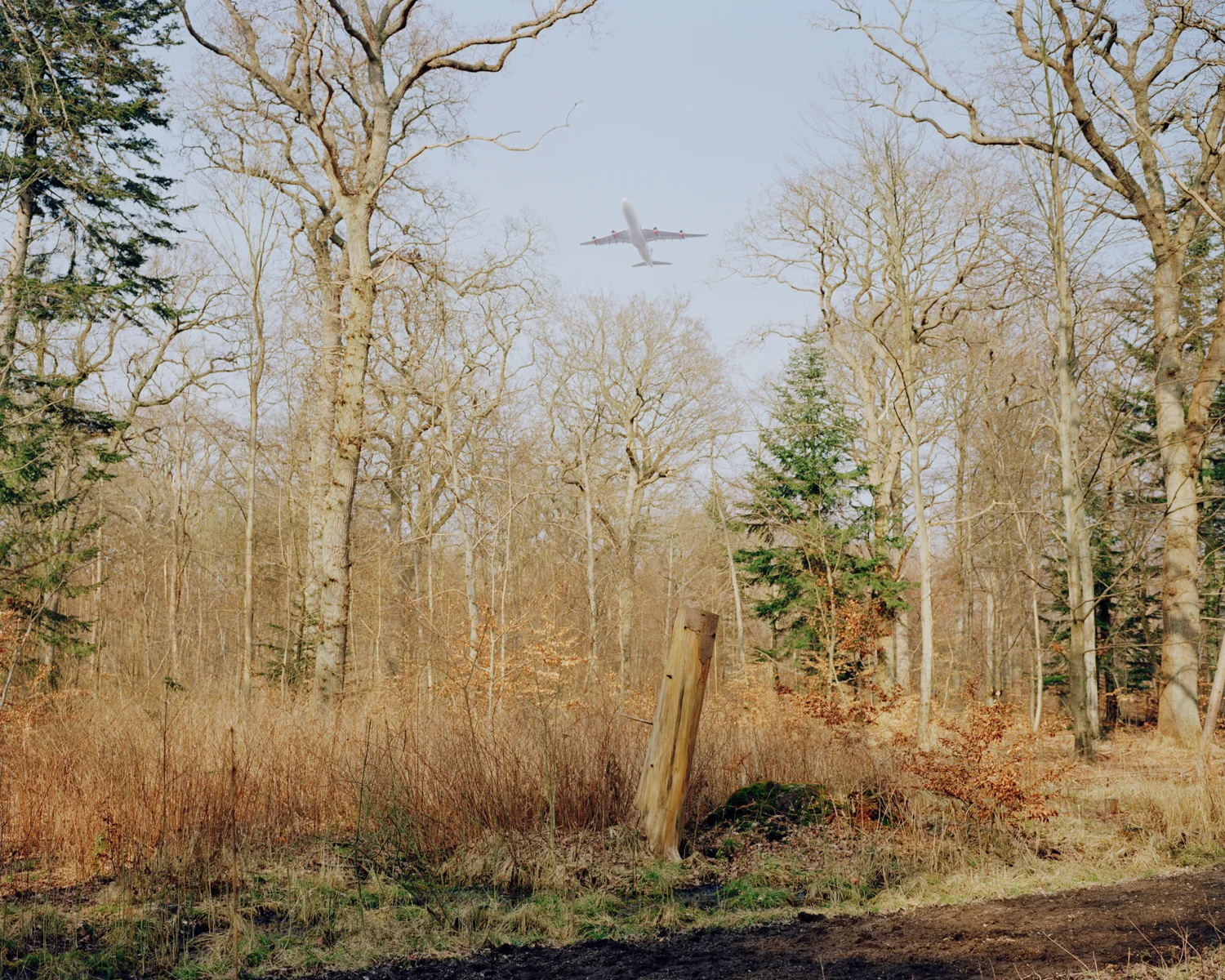 Kongelund, Amager, Greater Copenhagen, 2018. Project Statement
