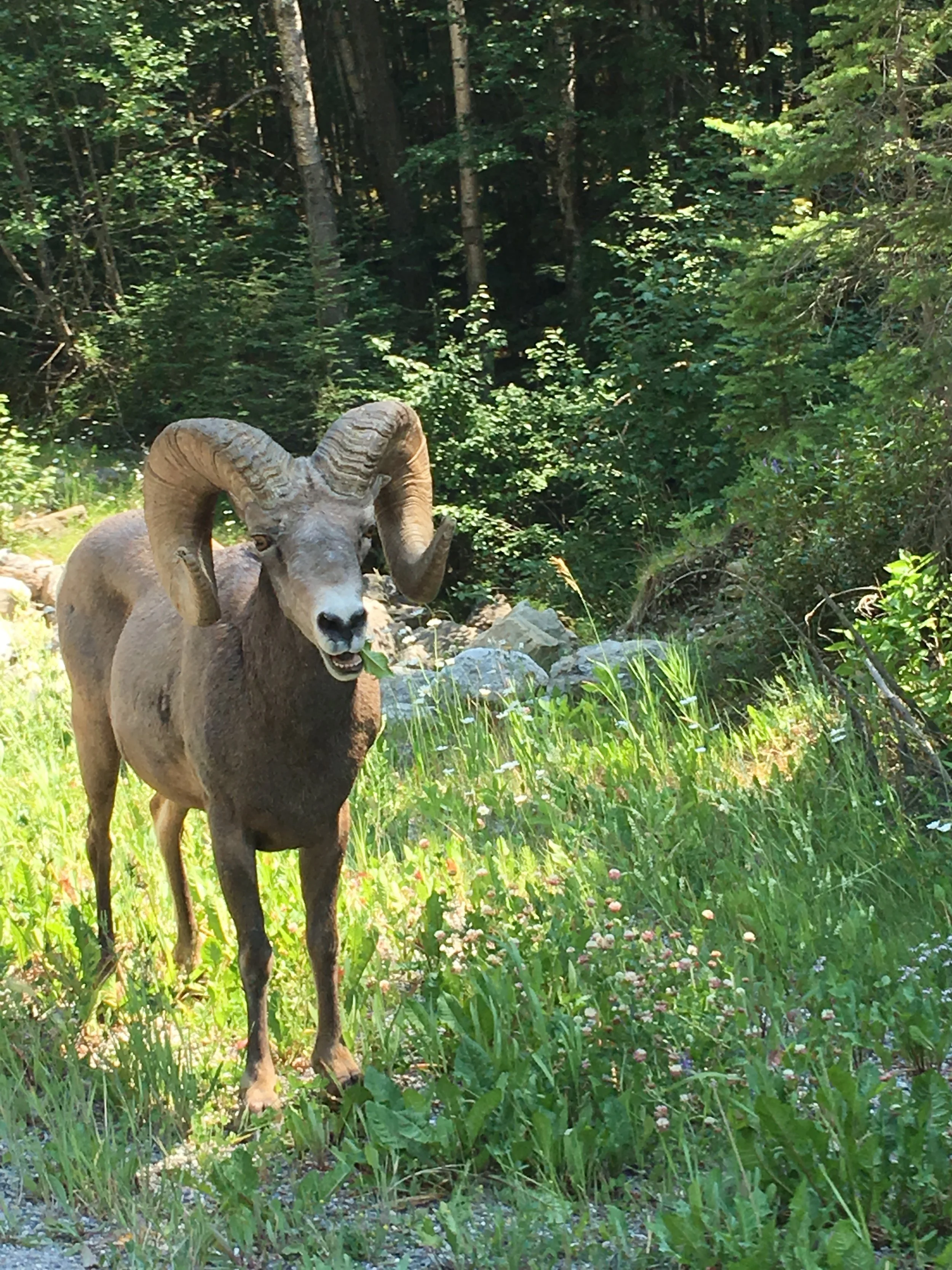 Up close and personal!