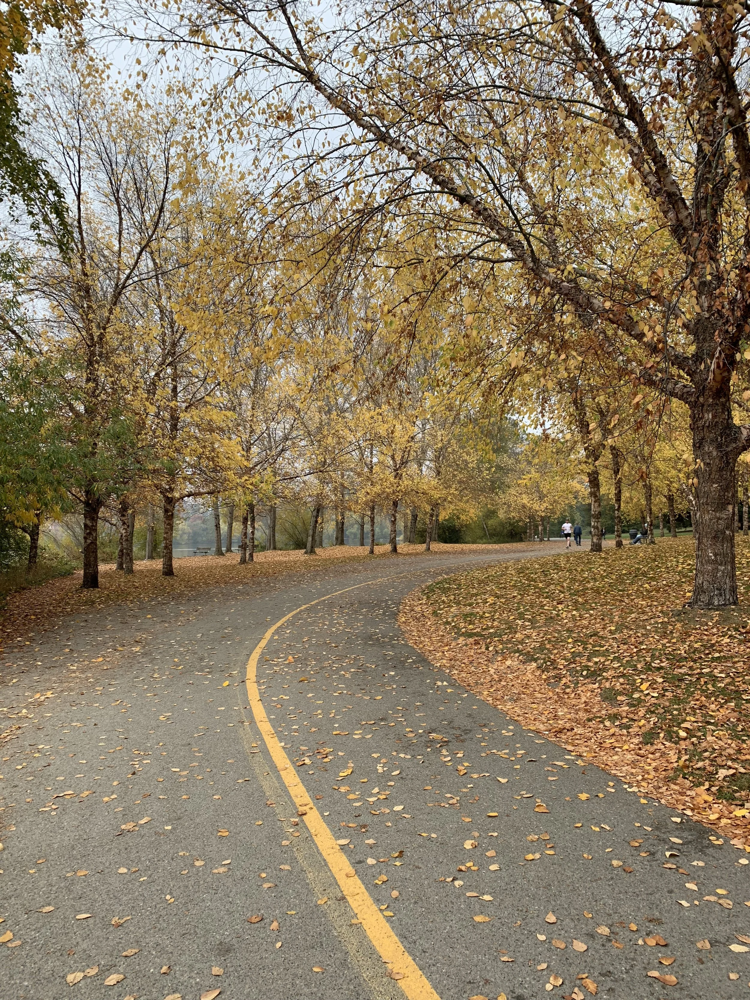 A little walk does the soul good, and clears the mind, especially in such a beautiful place as this.