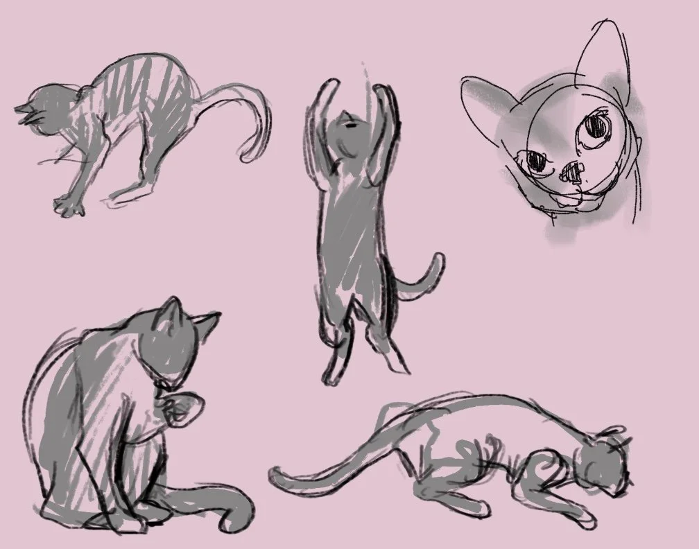 Untitled_Artwork 16 copy.jpg