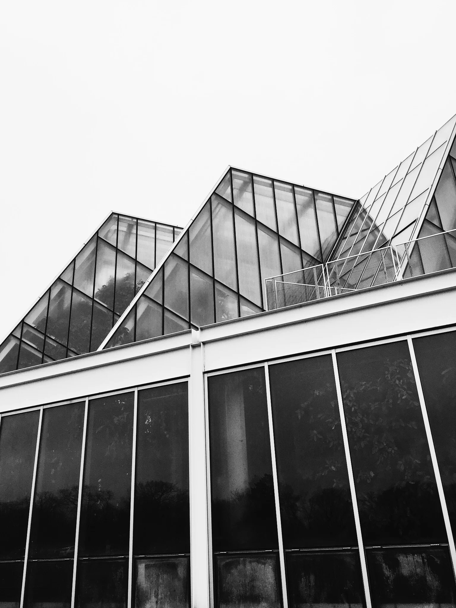 Como Conservatory - Minneapolis