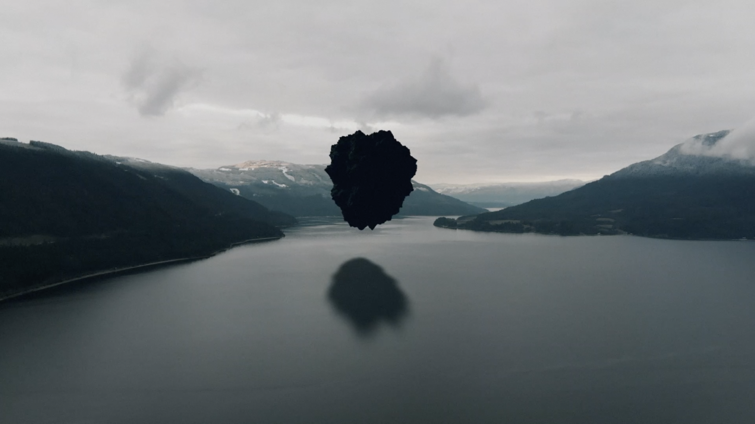 Where Do They Go, The Butterflies