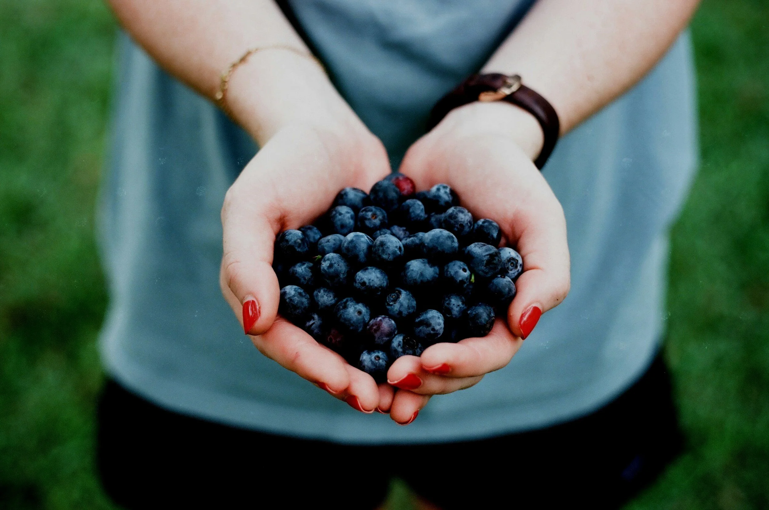 Person holding a handful of fresh blueberries outdoors.